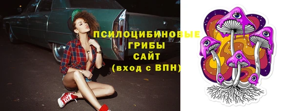 сатива Волоколамск