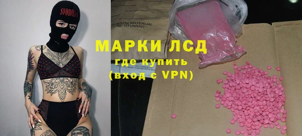 прущие грибы Волосово