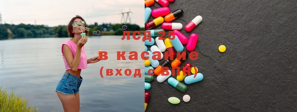 прущие грибы Волосово