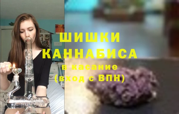 сатива Волоколамск