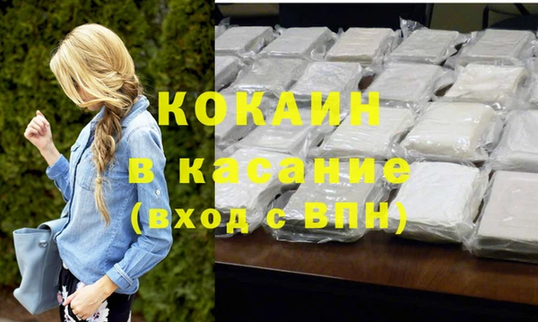 твердый Сясьстрой
