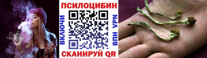 Псилоцибиновые грибы прущие грибы  Сосногорск 